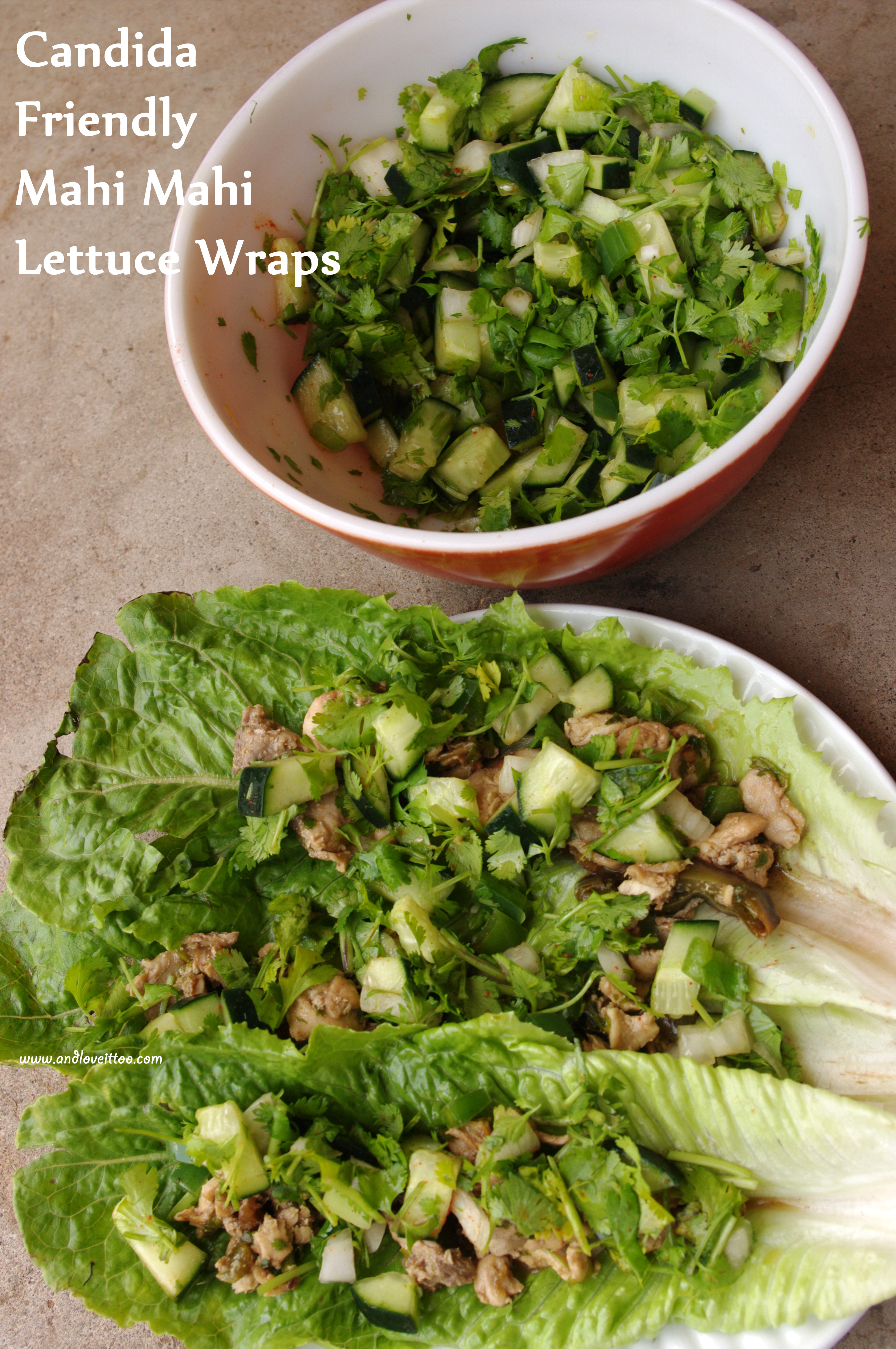 Candida Friendly Mahi Mahi Lettuce Wraps