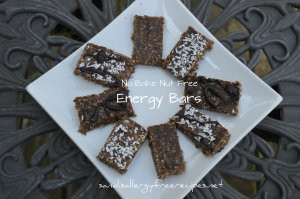 No-Bake Nut Free Energy Bars