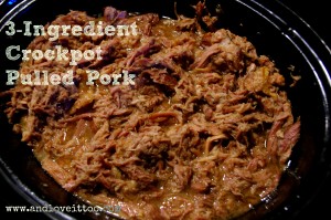 3ingredpulledpork