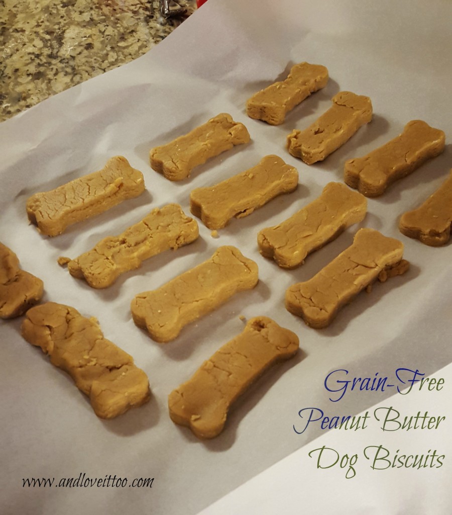 dog biscuit recipe grain free