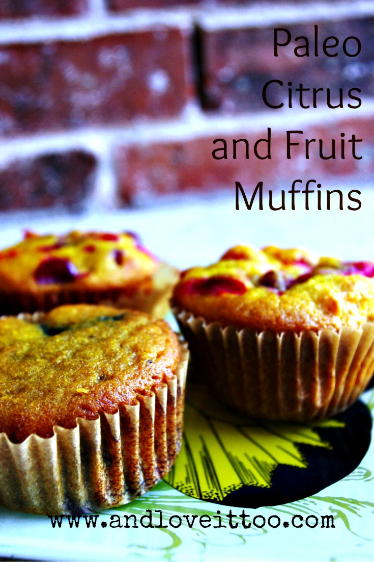 fruit muffins 2