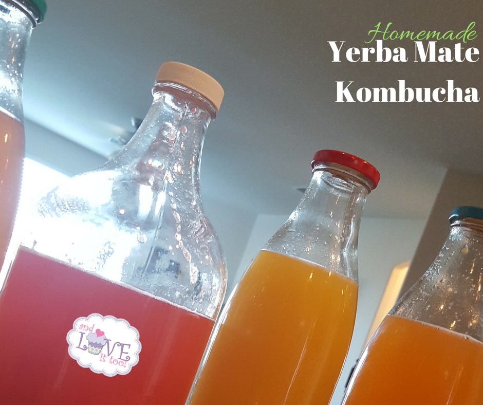 Homemade Yerba Mate Kombucha (1)